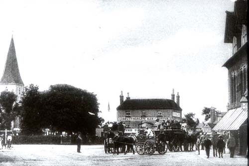 Horse Buses